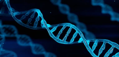 SMA hastalığı: nedir, nedenleri, belirtileri ve tedavisi