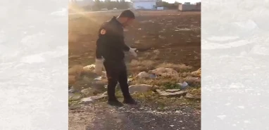 İki duvar arasına sıkışan köpeği itfaiye kurtardı