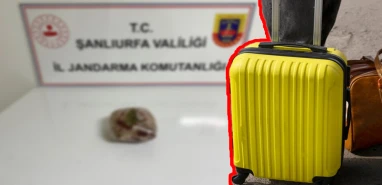 Jandarma gözlerine inanamadı…  Bakın yolcu valizinden ne çıktı!