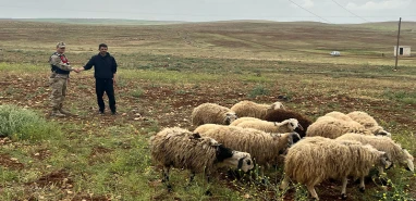 Şanlıurfa'da jandarma çiftçilerin yüzünü güldürdü