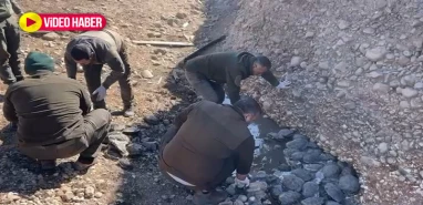 Şanlıurfa’dan güzel bir haber daha! Karakoyun Deresi’nden 316 can çıkarıldı