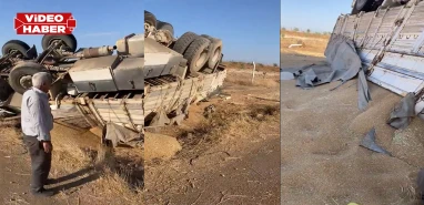 Şanlıurfa’da buğday yüklü kamyon devrildi! Tonlarca buğday yere saçıldı