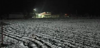 Şanlıurfa'ya ilkbahar bereketiyle geldi... Kırsala beyaz örtü çok yakıştı