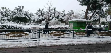 63 ilde kar var, 31 il için sarı kodlu uyarı! Şanlıurfa’da hava nasıl olacak?