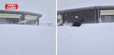 Urfa’da tarihi kış: Kar boyu insan boyunu aştı!