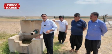 Şanlıurfa’da yüksek maliyet çiftçiye ikinci ürünü ektiremiyor! Sulamada güneş enerjisi çağrısı