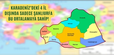 Listeye Karadeniz dışında giren tek il Şanlıurfa oldu! Şaşırtan ortalama