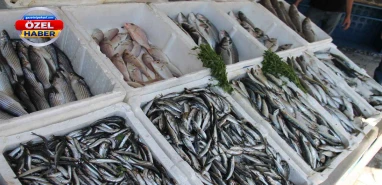 Karadeniz bereketi Şanlıurfa tezgahlarına yansıdı