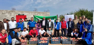 Şanlıurfa'da genç gönüllülerden nar hasadına destek