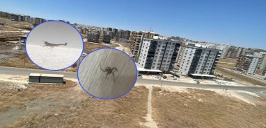 Şanlıurfa'da imar planında park, gerçekte survivor