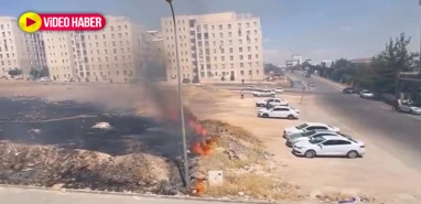Şanlıurfa’da otluk alanda çıkan yangın paniğe neden oldu