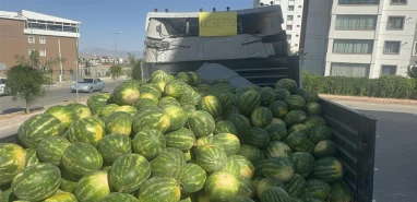 Sıcak havada serinleten jest: 30 ton karpuz ücretsiz dağıtıldı
