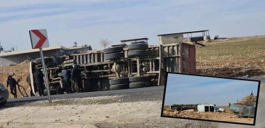 Şanlıurfa’da kamyon şarampole devrildi! Pamuk çuvalları yola döküldü
