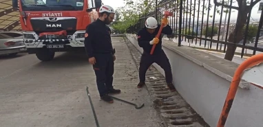 Şanlıurfa'da mazgala düşen yavru kedi kurtarıldı