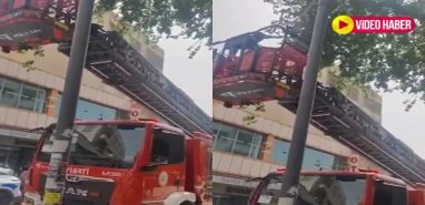 Şanlıurfa’da kedi kurtarma operasyonu