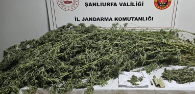 Jandarmadan Haliliye ve Eyyübiye’de operasyon!