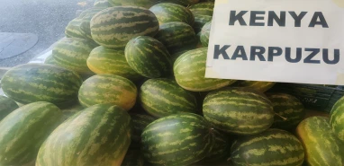 Şanlıurfalıların yeni gözdesi Kenya karpuzu!