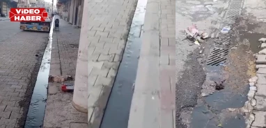 Şanlıurfa’da mahallelinin logar çilesi! Ne kokudan duruluyor ne yürünüyor