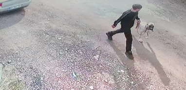 Şanlıurfa’da kangal köpeğini çaldılar!