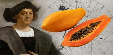 Kristof Kolomb’un keşfi: ‘Meleklerin meyvesi’ papaya