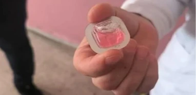 Şanlıurfa’nın komşusunda kuduz aşısı alarmı! Köylere ulaştı…