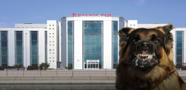 Şanlıurfa’da kuduz tedavisi gören genç hayatını kaybetti!