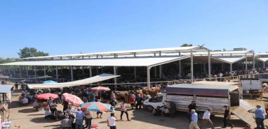 Şanlıurfa'da hangi mahallelerde kurban pazarları kurulacak? Kurban kesim yerleri...