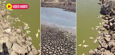 Şanlıurfa’da felaketin en çarpıcı görüntüsü!