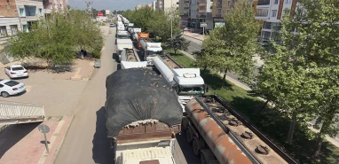 Şanlıurfa’nın akıllı kumruları! Trafik ışığını yemek zili yaptılar