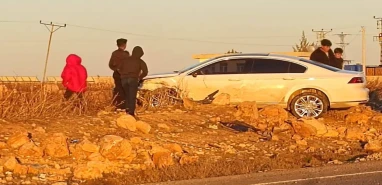 Şanlıurfa'da araçlar kafa kafaya çarpıştı! Yaralılar var