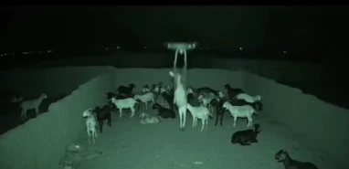 Biri bir kuyuya taş atmış gündem yine Şanlıurfa'ya olmuş! Paylaşan paylaşana