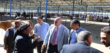 KESK bile yalanladı!  Tanal: Vatandaşın hayvan küpesine ancak karaborsayla ulaşabildiği iddia ediliyor