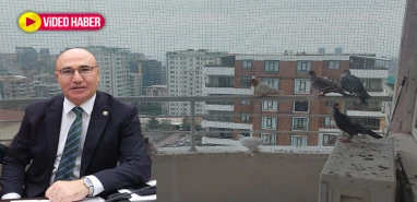 Vekil Tanal Meclis'e taşıdı: GAP İdaresi'ne "kuşçuluk" eleştirisi