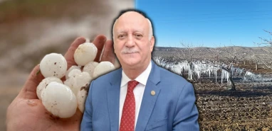 Ne dolu ne de don! Asıl felaket şimdi başladı: Şanlıurfa’da yüzde 80…