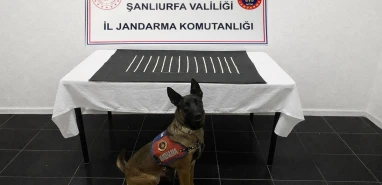 Jandarmadan Harran’a narkotik baskını!