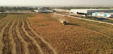 Şanlıurfa'da 90 dönümlük nohut hasadı tamamlandı