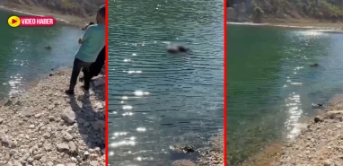 Şanlıurfa’da köprü altında tüyler ürperten olay! Çobanlar fark etti