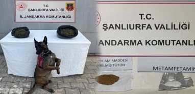 Şanlıurfa’da 4 ilçede eş zamanlı operasyon: Jandarma sahaya indi!