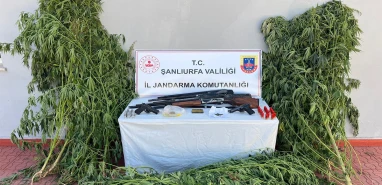 Şanlıurfa’da 5 ilçede dev operasyon