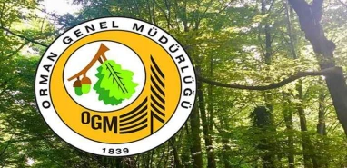Kura çekimi tamamlandı: 4 bin 700 işçi alımında kazananlar belli oldu