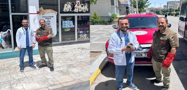 Şanlıurfa'da doğa sevgisi hayat kurtardı!