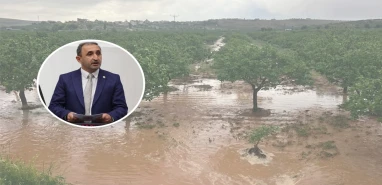 Şanlıurfa’yı geçen yıl kuraklık bu yıl dolu vurdu! Çiftçiler için destek ve erteleme çağrısı