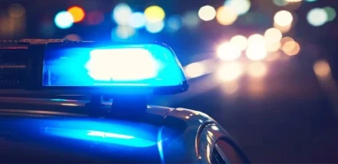Şanlıurfa'da asayiş uygulamasında hırsız yakalandı