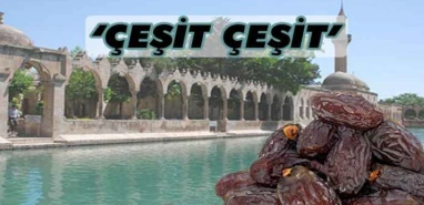 Ramazan ayının vazgeçilmezi! Hurmalar tezgahta yerini aldı