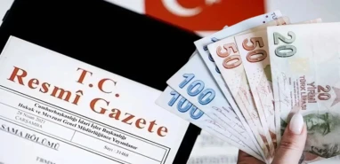 Resmî Gazete'de yayımlandı: Başvuran anneye çocuk parası ödenecek
