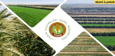 TARIM İŞLETMELERİ GENEL MÜDÜRLÜĞÜ (TİGEM)