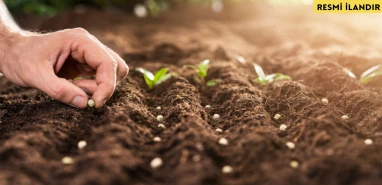 FİDAN ÜRETİM VE BAKIM ÇALIŞMASI HİZMETİ ALINACAKTIR