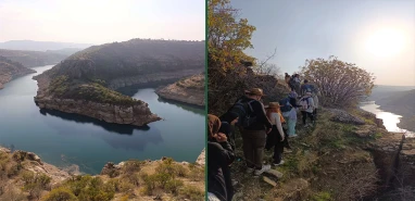 Rota bu kez Diyarbakır!  Urfalıların 'Timsah' macerası