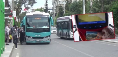 Emekliler bıktı artık! Bakana mektup yazdılar