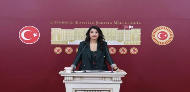 Şanlıurfa vekilinden çağrı: Son günlerdeki şüpheli kadın ölümleri aydınlatılsın